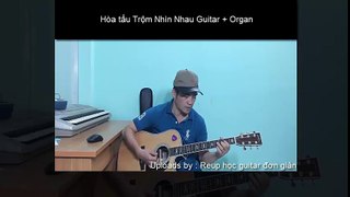 Hòa tấu guitar organ Trộm Nhìn Nhau