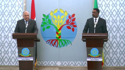 'Mısır halkı Hedasi Barajı inşaatından endişeli' - ADDİS ABABA