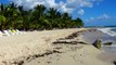 PLAYA JUAN DOLIO,MUNICIPIO JUAN DOLIO,PROVINCIA SAN PEDRO DE MACORIS,REGION ESTE REPUBLICA DOMINICANA.