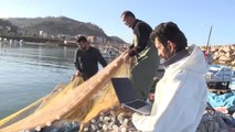 Doğu Karadenizli Balıkçılar, Aa'nın 