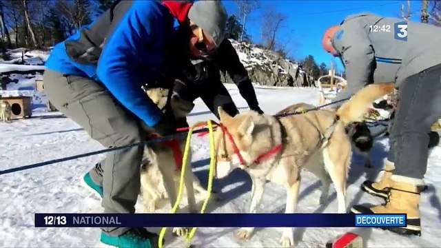La Pierre Saint-Martin : initiation aux chiens de traîneau