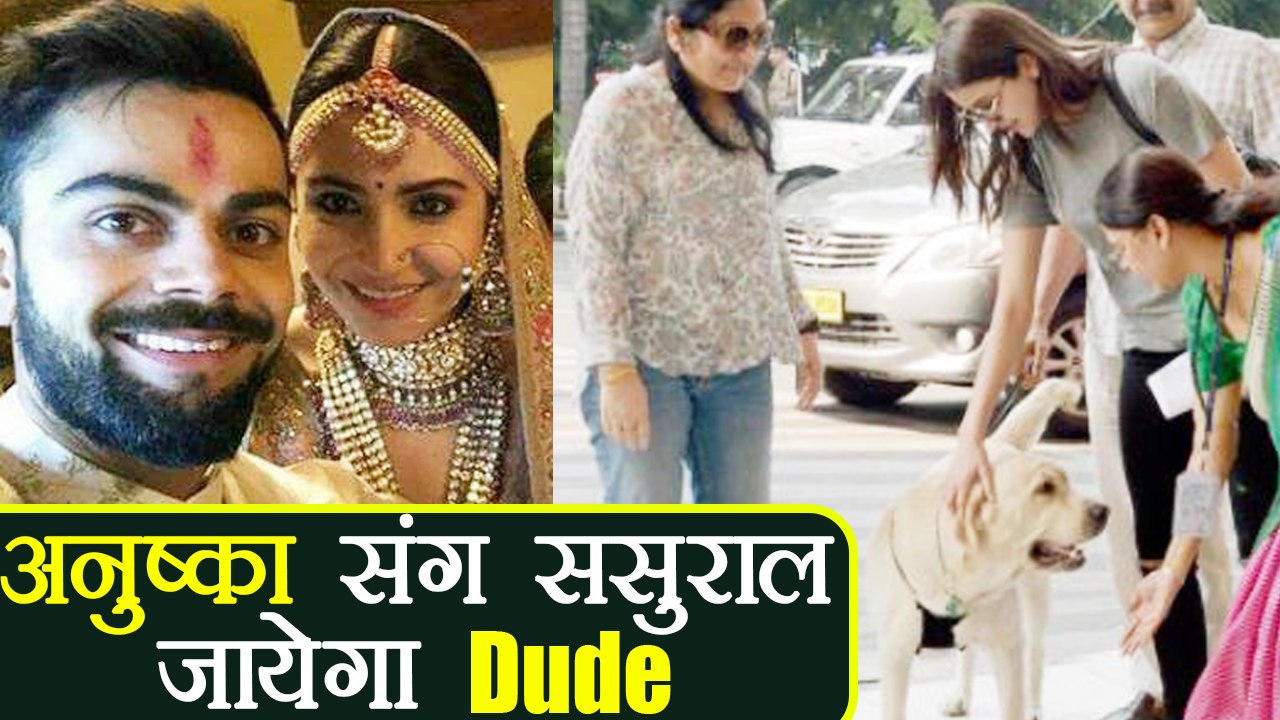 Virat - Anushka: Anushka Sharma's pet dog Dude will go with her in new House | वनइंडिया हिंदी