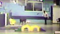 Family Pushes for New Law After Witnessing Dog Being Kicked on Daycare Camera