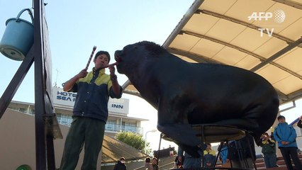 Sobresaliente en caligrafía