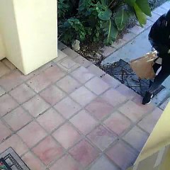 Grinch Porch Pirate