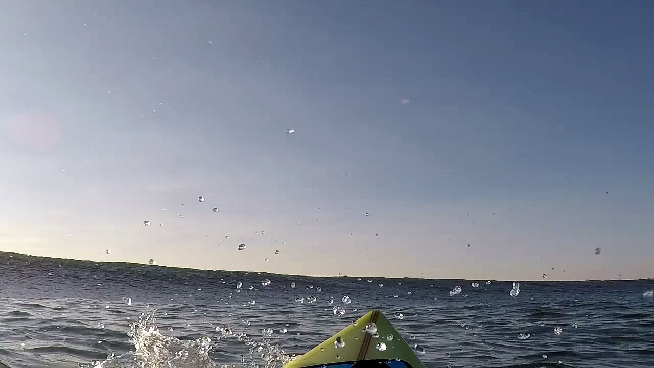 Great White Shark Encounter