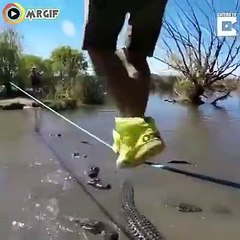 VID-20171219-WA0279