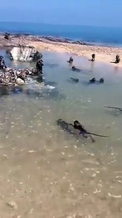 കുരേങ്ങേന്‍ കുളി