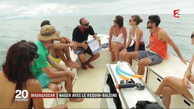 Madagascar : au plus près des requins-baleines