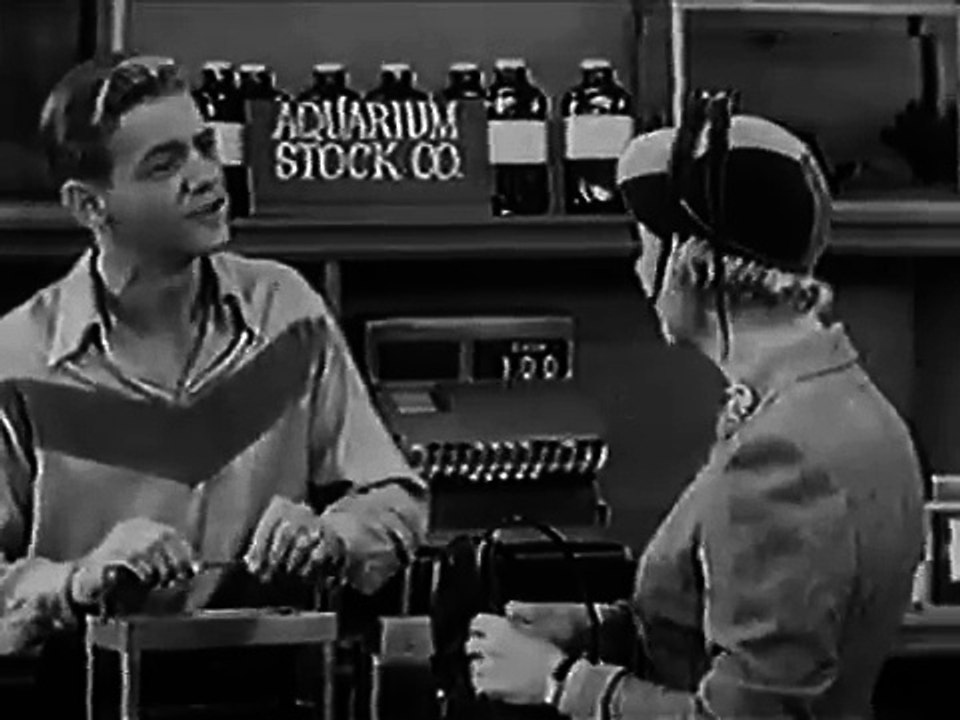 I Married Joan   S02E05   Tropical Fish