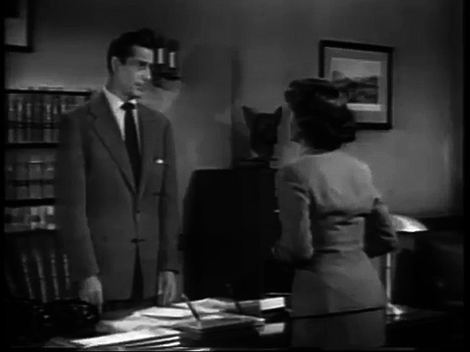 Public Defender   S01E01   The Case of the Parolee
