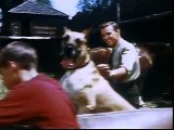 The Forest Rangers - (S03E05_1965) - Hole In The Ice (a.k.a. 