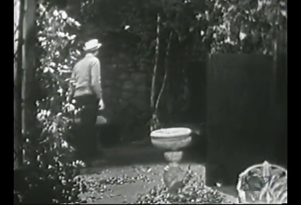 Lights Out   S03E16   The Angry Birds...with John Forsythe