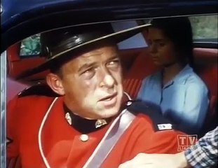The Forest Rangers - (S03E20_1965) - Willie And Starlight