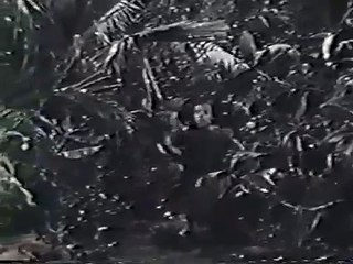 Adventures in Paradise   S03E21   The Secret Place