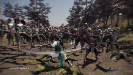 Dynasty Warriors 9 - Jiang Wei