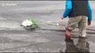 Un homme sauve une chouette des neiges d'un lac gelé