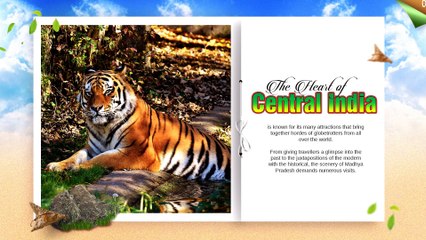 Places To Fill Your Madhya Pradesh Itinerary With