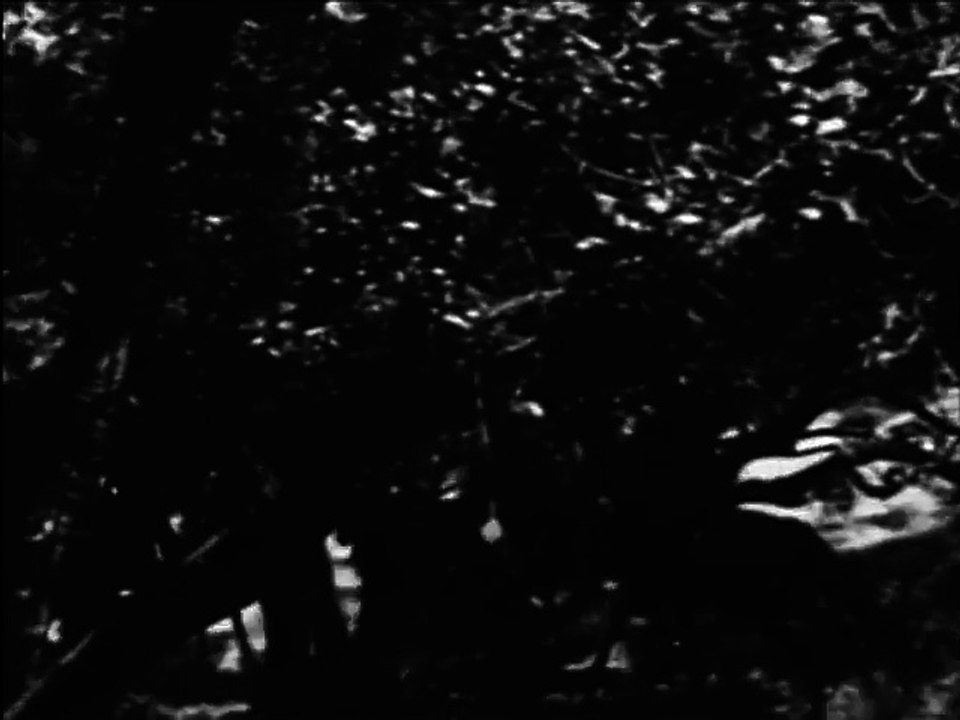 Man from Texas (1948) WESTERN part 1/2