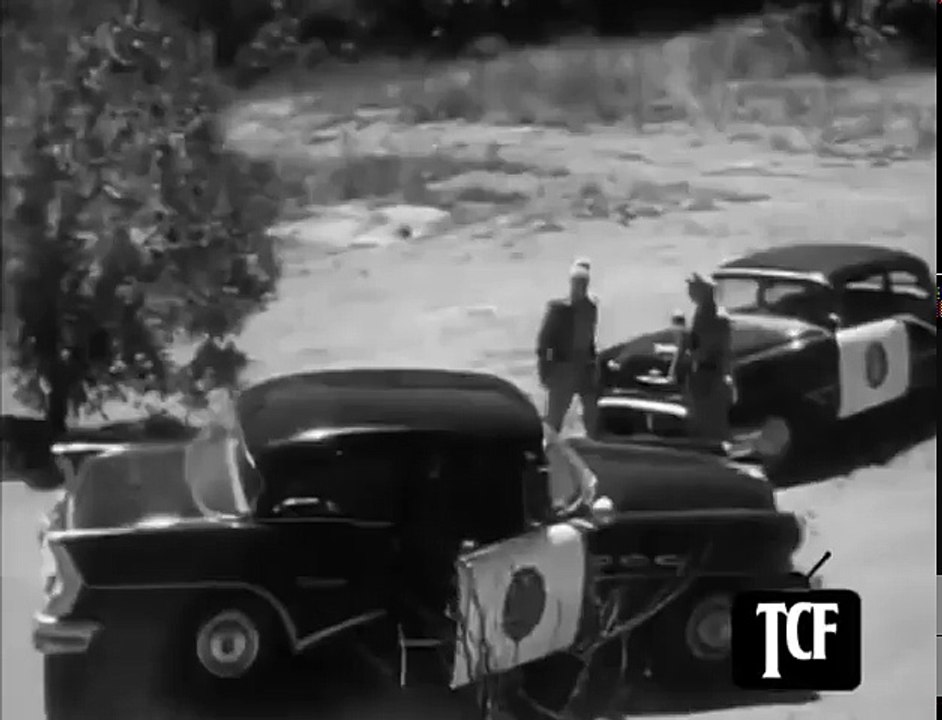 Highway Patrol   S02E08   Hot Cargo