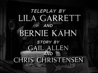 Honey West   S01E26   Pop Goes The Easel