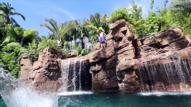 TANNER BRAUNGARDT - WHY 2017 WAS THE BEST YEAR OF MY LIFE