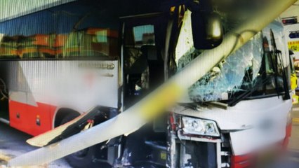 고속버스·1톤 트럭 부딪쳐 7명 경상 / YTN