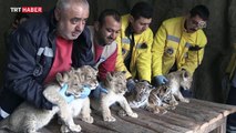 Kayseri Hayvanat Bahçesi'nin yeni sakinleri