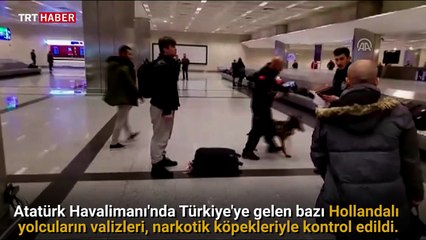 Hollanda'dan gelen bazı yolcuların valizlerine köpekli arama