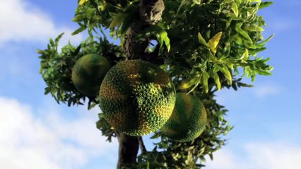 Early Man Trailer #1 (2018) _ Movieclips Trailers-eMD9_AKK_FI