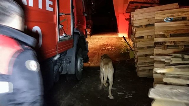 Samsun'da palet fabrikası alev alev yandı
