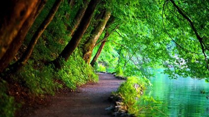 Benefits of Nature To Humans.