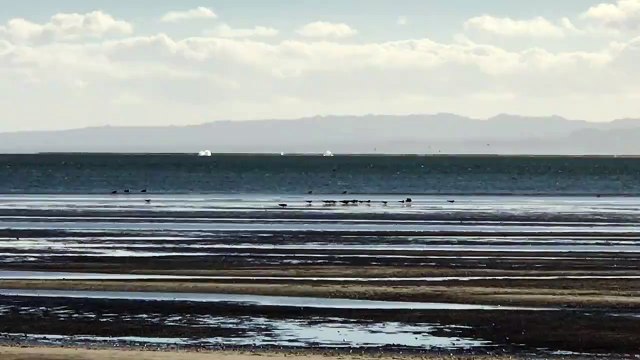 Whale Watching Camp with Baja Jones Adventure Travel