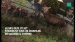 Des habitants de l'Oise s'opposent à des chasseurs pour sauver un cerf