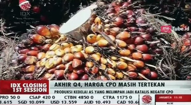 Cuaca Ekstrem Penyebab Naiknya Produksi Kedelai Jadi Katalis Negatif yang Lemahkan Harga