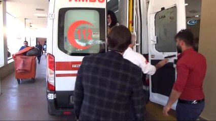 Bahçe Duvarını Örerken Akrep Soktu