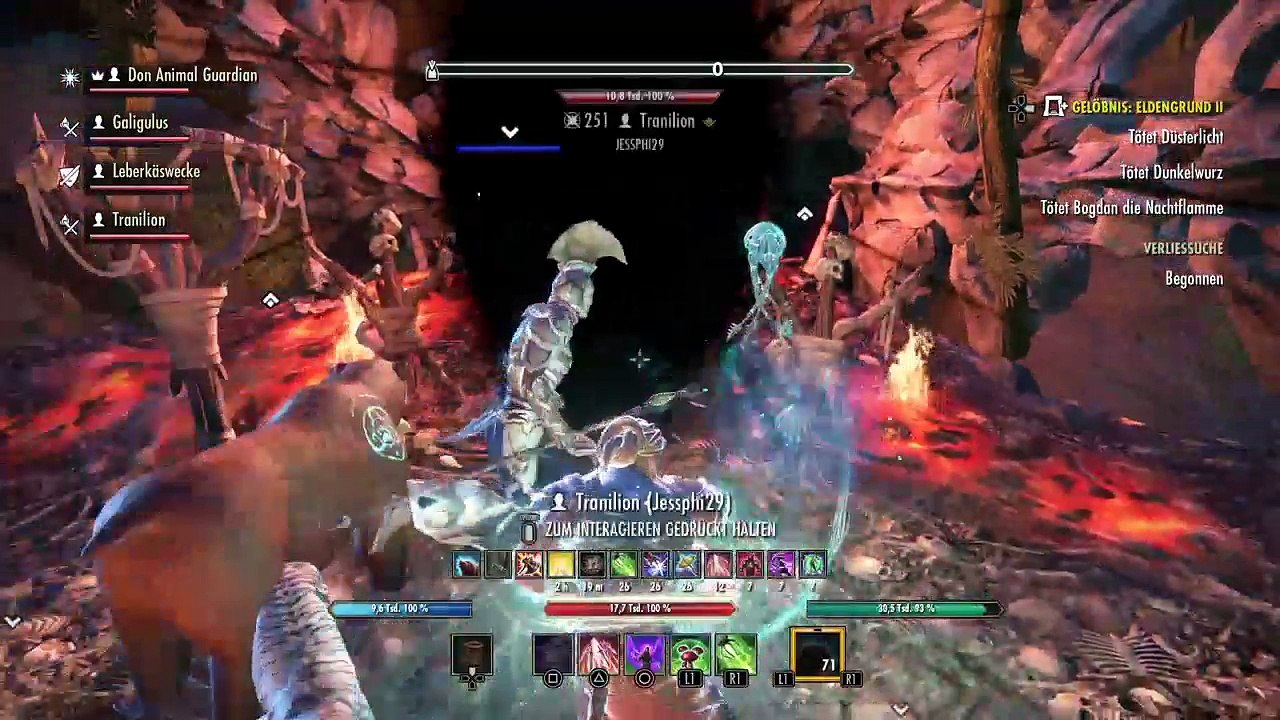 DonAleszandro The Elder Scrolls «-Eldengrund 2 mit Don Animal Guard-» (564)