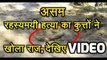Assam - रहस्यमयी हत्या का कुत्तों ने खोला राज, देखिए VIDEO