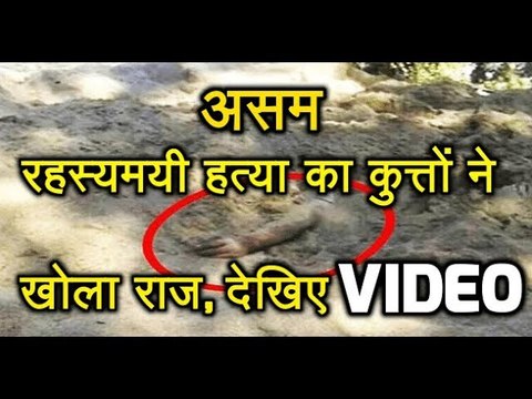 Assam - रहस्यमयी हत्या का कुत्तों ने खोला राज, देखिए VIDEO
