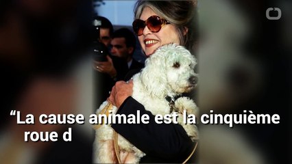 La lettre incendiaire de Bardot à Macron