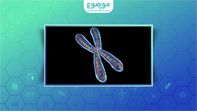 كيف اعرف جنس الجنين