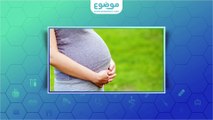 كيف شكل بطن الحامل بولد