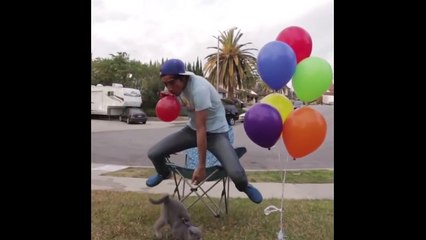 Present Surprise Happy New Year 2018 & Merry Christmas Magic of Zach King Collection