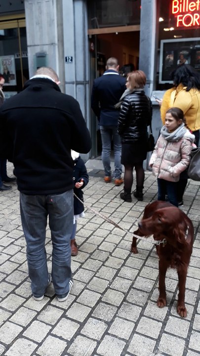Liège: folie au Forum pour prendre des places pour le concert de Julien Doré