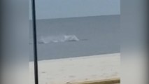 Dolphin filmed performing dramatic stunts in waters of Mississippi coast