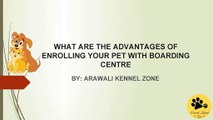 Amazing Benefits of Enrolling your Dog with Dog Boarding