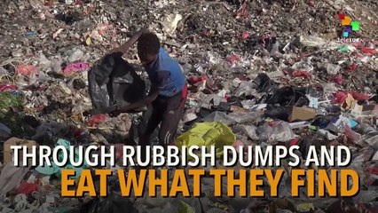 The critical situation in Yemen