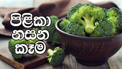 6 Cancer Prevention Foods