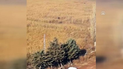 Polis kaçan zanlıları sazlıkta yakaladı - ANKARA