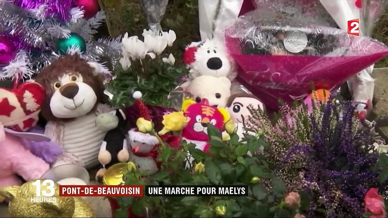 Affaire Maëlys : une marche quatre mois après la disparition de la petite fille